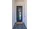 Stylish front door with wreath and modern design in a well-lit entryway at 2707 W Fig St, Tampa, FL 33609