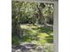 Lush, verdant backyard featuring mature trees and ample green space at 3911 6Th W Ave, Palmetto, FL 34221