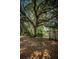 Spacious backyard with mature trees, a shed, boat dock and canal access in a quiet residential neighborhood at 6423 Bass Rd, Weeki Wachee, FL 34607
