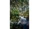 Scenic water view with lush green foliage, reflection of blue sky, in a peaceful residential neighborhood at 6423 Bass Rd, Weeki Wachee, FL 34607