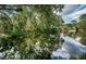 Peaceful water view shows mature trees, and the reflection of blue sky and clouds in a serene residential neighborhood at 6423 Bass Rd, Weeki Wachee, FL 34607