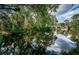 Wonderful water view, showcasing lush trees, with the reflection of blue sky and clouds in a serene residential neighborhood at 6423 Bass Rd, Weeki Wachee, FL 34607