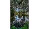 Amazing water view with mature trees, and the reflection of blue sky and clouds in a serene residential neighborhood at 6423 Bass Rd, Weeki Wachee, FL 34607