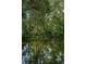Scenic water view with lush green foliage and reflection of trees in a peaceful residential neighborhood at 6423 Bass Rd, Weeki Wachee, FL 34607