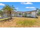 A single-story home with mature palm tree and a convenient carport at 6424 Ponder Dr, Port Richey, FL 34668