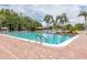 A spacious community pool lined with lounge chairs offers a refreshing escape, surrounded by swaying palm trees at 9335 Stonewall, New Port Richey, FL 34655