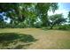 Large yard with mature trees providing shade and space at 934 Jerry Smith Rd, Dover, FL 33527