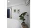 Cozy bedroom features a comfortable bed, a lush green plant, and tasteful decor at 11747 104Th N St, Largo, FL 33773