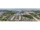 A picturesque community with homes overlooking a serene lake surrounded by lush trees at 1432 Gopher Loop, Tarpon Springs, FL 34689