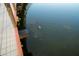 Underwater shot of an alligator swimming in the lake by a boardwalk, showcasing the natural wildlife in the area at 14702 Dartmoor Ln, Tampa, FL 33624