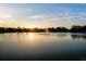Beautiful sunset over the lake featuring a fountain, with sun rays filtering through the trees creating a stunning natural landscape at 14702 Dartmoor Ln, Tampa, FL 33624