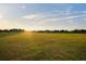 Expansive grassy park, offering an open space for recreation and community gatherings at 14702 Dartmoor Ln, Tampa, FL 33624