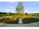 Native Plant Garden featuring various local plants, a central tree and a stone paver walkway at 14702 Dartmoor Ln, Tampa, FL 33624