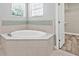Bathroom showcasing a bright tub with corner placement next to a bright window and walk-in closet at 14718 Rocky Brook Dr, Tampa, FL 33625