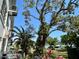 Lush grounds featuring trees, foliage, and manicured grass and garden areas at 2020 World Parkway Blvd # 14, Clearwater, FL 33763