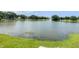Scenic view of the pond with a fountain as a backdrop to the community at 2643 Pine Ridge S Way # A1, Palm Harbor, FL 34684