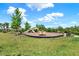Community playground with swings, slides, and other play structures, surrounded by green grass and trees at 33030 Major Oak Dr, Wesley Chapel, FL 33545