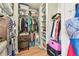 Walk-in closet with clothing racks, shelving, and hardwood floors at 34506 Rose N Dr, Pinellas Park, FL 33781