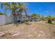 Charming single-Gathering home showcasing mature palm trees and a spacious front yard under a clear sky at 7285 Nightwalker Rd, Weeki Wachee, FL 34613