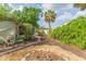 A well-maintained backyard with gravel and tropical plants offering a serene outdoor space at 7903 Heather Ct, Tampa, FL 33634