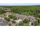 Aerial view of the neighborhood, showcasing the community's layout and lush landscaping at 7911 Hampton Lake Dr, Tampa, FL 33647