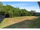 Green backyard with a backdrop of lush trees and some fencing, offering privacy and a touch of nature at 7911 Hampton Lake Dr, Tampa, FL 33647