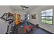 Home gym featuring exercise equipment, ceiling fan, and natural light from large windows at 11909 Climbing Fern Ave, Riverview, FL 33579