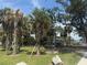 Outdoor playground featuring a black chain link fence with multiple palm trees, playground equipment, and benches at 1735 Maryland Ne Ave, St Petersburg, FL 33703