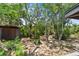 Backyard area surrounded by lush trees and featuring a firepit and shed at 18816 Carr Dr, Lutz, FL 33559
