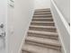 Carpeted staircase with white walls and a handrail, leading to the upper level at 2131 River Turia Cir, Riverview, FL 33578
