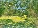 Lush green backyard viewed through trees provides a tranquil outdoor space at 2287 Philippine Dr # 29, Clearwater, FL 33763