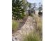 Stone pathway framed by decorative grasses leading to backyard at 307 Orangewood Ln, Largo, FL 33770