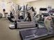 Well-equipped fitness center with various exercise machines, including treadmills and stationary bikes at 4725 Cove Cir # 604, St Petersburg, FL 33708