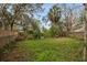 Large backyard with mature trees and a pond in the distance at 7247 Oelsner St, New Port Richey, FL 34652