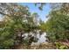 Scenic pond surrounded by lush vegetation and mature trees at 7247 Oelsner St, New Port Richey, FL 34652