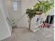 Carpeted stairs and white walls, complemented by a shelf holding plants and books at 9907 Spanish Lime Ct, Riverview, FL 33578