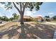 Charming single-story home with a well-maintained lawn, mature shade tree, and a welcoming entrance at 1615 Loghill Pl, Brandon, FL 33510