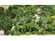 Aerial view of a wooded property, showcasing dense greenery and natural landscape with mature trees at 1616 Lightfoot Rd, Wimauma, FL 33598