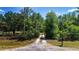 Gravel driveway leading to a secluded property, framed by dense trees and foliage, creating a private entrance at 1616 Lightfoot Rd, Wimauma, FL 33598