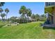 Expansive backyard featuring lush green grass, palm trees, and a secure fence at 2605 59Th S St, Gulfport, FL 33707