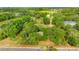 Aerial view of a lot showing mature trees and the home nestled within them at 3611 W Reynolds St # 1/2, Plant City, FL 33563