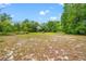 Expansive backyard with mature trees, offering plenty of open space and natural beauty at 3611 W Reynolds St # 1/2, Plant City, FL 33563
