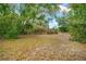 Expansive backyard space with mature trees and natural foliage at 3611 W Reynolds St # 1/2, Plant City, FL 33563