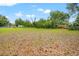 Large backyard with mature trees, natural ground cover, and plenty of open space at 3611 W Reynolds St # 1/2, Plant City, FL 33563