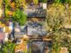 Aerial view of a home surrounded by lush trees, showcasing its private and serene setting at 5804 N 9Th St, Tampa, FL 33604