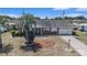 Beautiful single-story home with brick exterior, mature palm trees, well-kept lawn, and a spacious driveway at 832 Fox Hills Dr, Sun City Center, FL 33573
