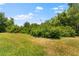 Expansive backyard with lush greenery, providing a serene and natural setting at 10511 Mistflower Ln, Tampa, FL 33647