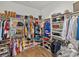 Walk-in closet with organized shelving, hanging racks, and wood-look tile flooring at 1220 Florablu Dr, Seffner, FL 33584