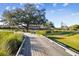 Scenic view of community grounds with wooden walkway, green grass, and mature trees under a blue sky at 4175 Northmeadow Cir # 4175, Tampa, FL 33618