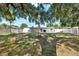 Spacious backyard with mature shade tree, privacy fence, and covered patio at 4310 S Coolidge Ave, Tampa, FL 33611